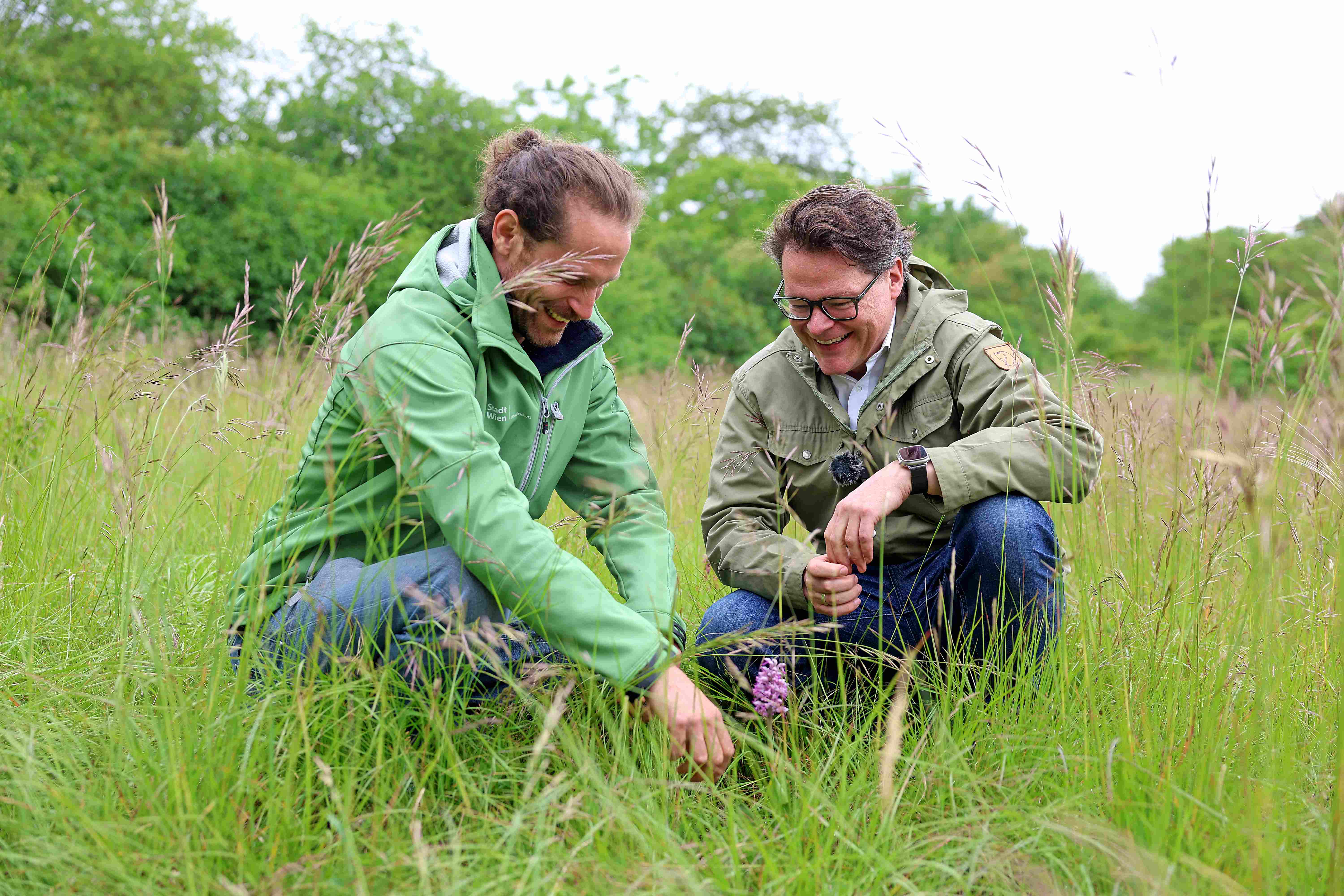 Breitenlee Nature Reserve © Stadt Wien/Martin Votava